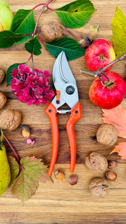 Original Löwe 9.107 Bypass scissors with curved handle