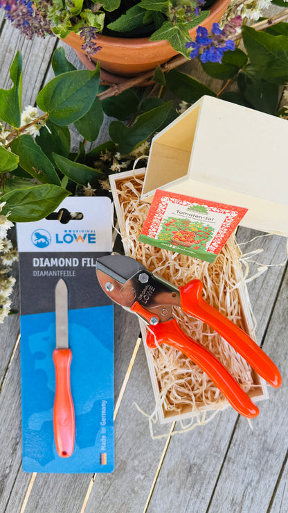 Geschenkset Original Löwe 5 Amboss-Schere mit Diamantschleifer