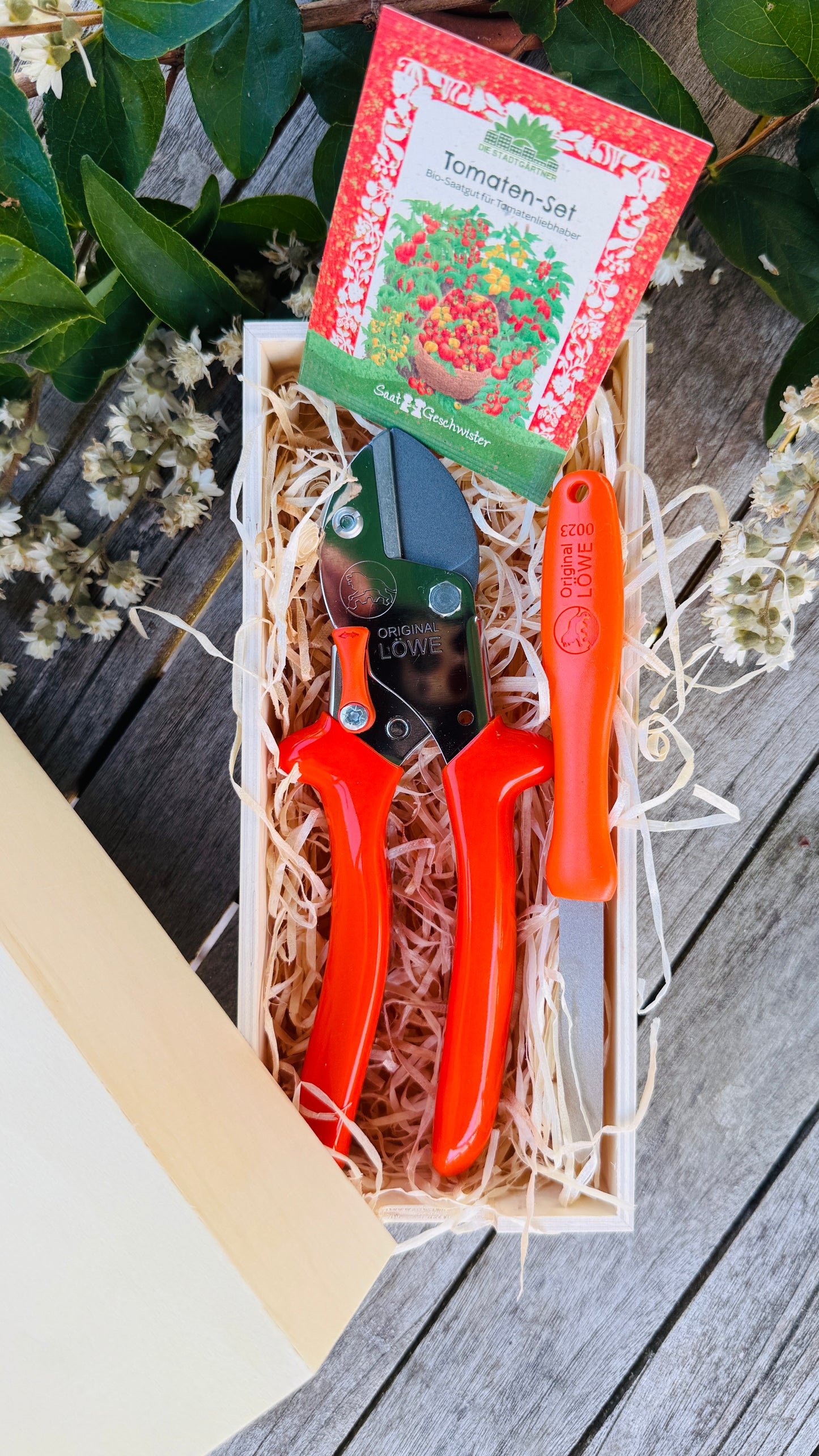 Geschenkset Original Löwe 5 Amboss-Schere mit Diamantschleifer
