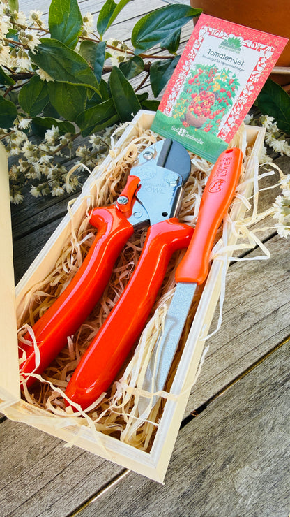 Geschenkset Original Löwe 5 Amboss-Schere mit Diamantschleifer