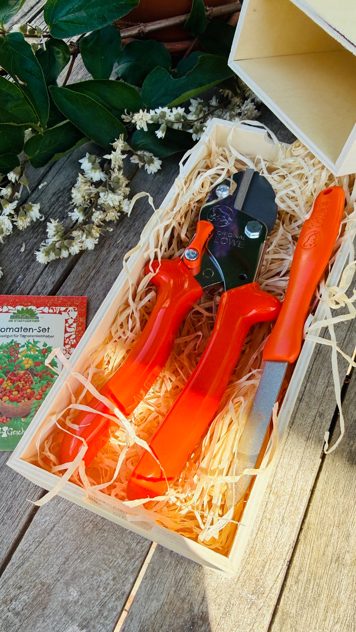 Geschenkset Original Löwe 5 Amboss-Schere mit Diamantschleifer