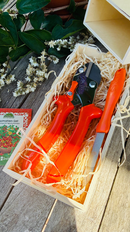 Geschenkset Original Löwe 5 Amboss-Schere mit Diamantschleifer