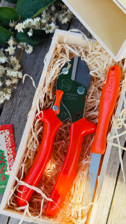 Geschenkset Original Löwe 5 Amboss-Schere mit Diamantschleifer