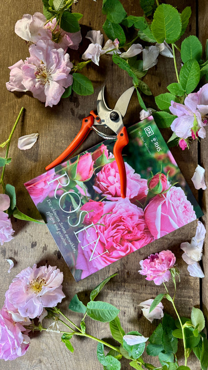 Geschenkset Buch Rosen & OriginalLöwe 9.107