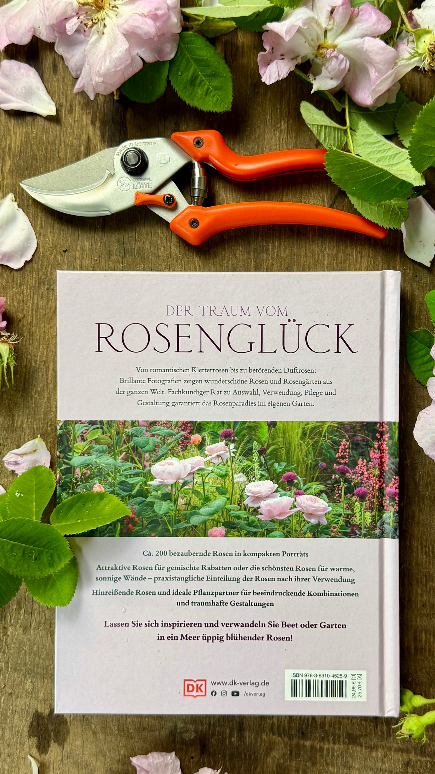 Geschenkset Buch Rosen & OriginalLöwe 9.107