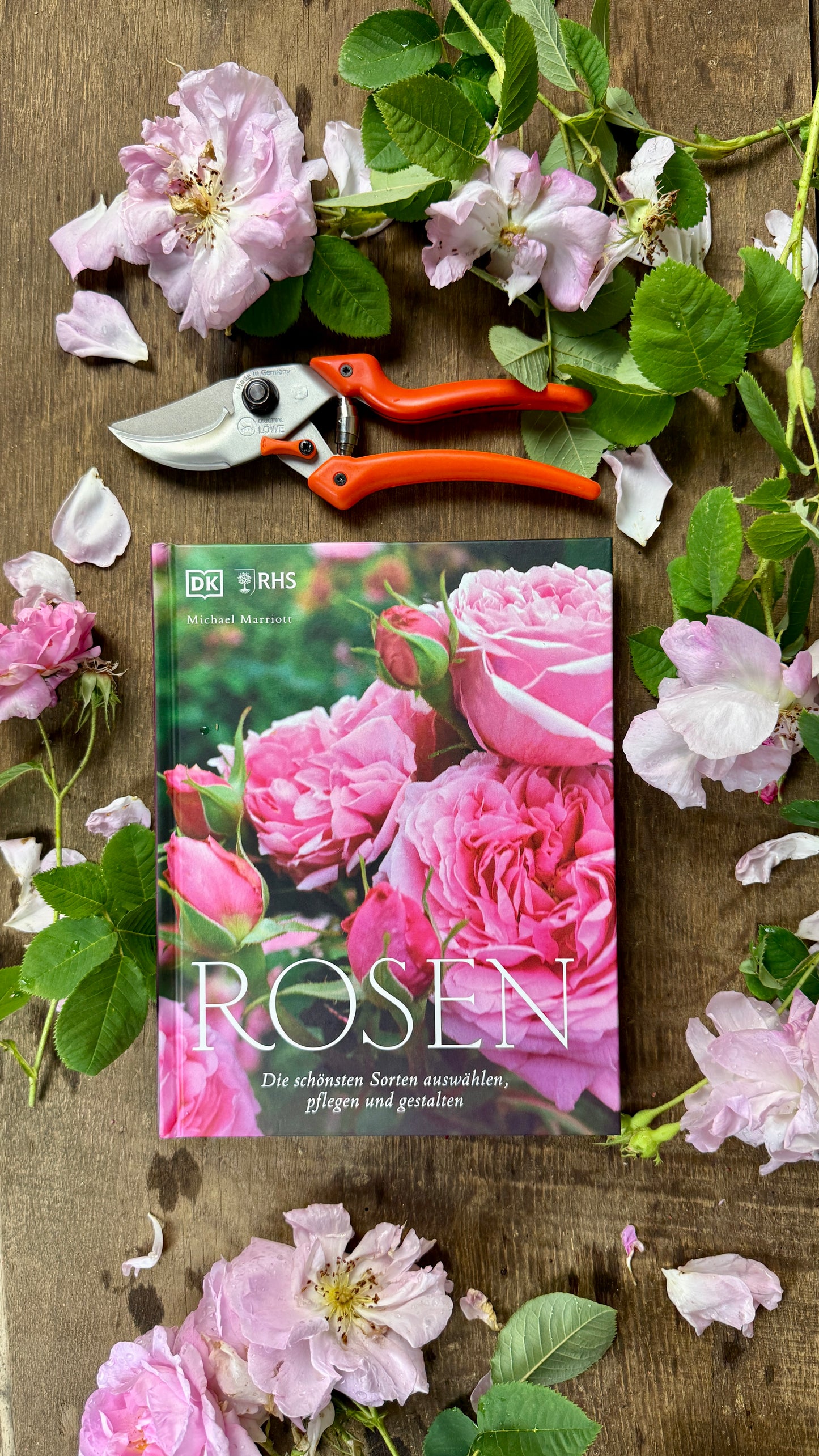 Geschenkset Buch Rosen & OriginalLöwe 9.107
