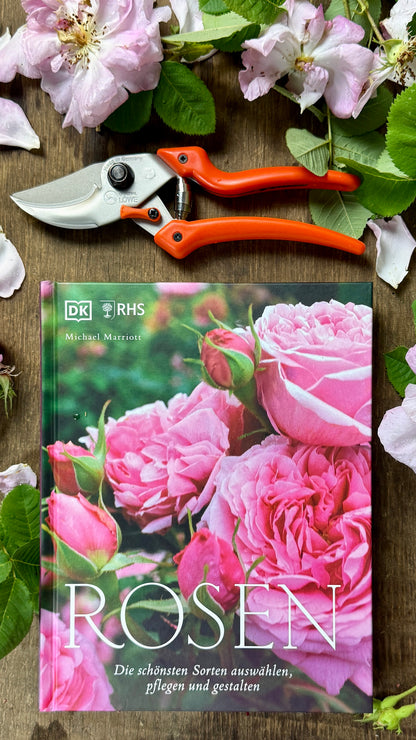 Geschenkset Buch Rosen & OriginalLöwe 9.107