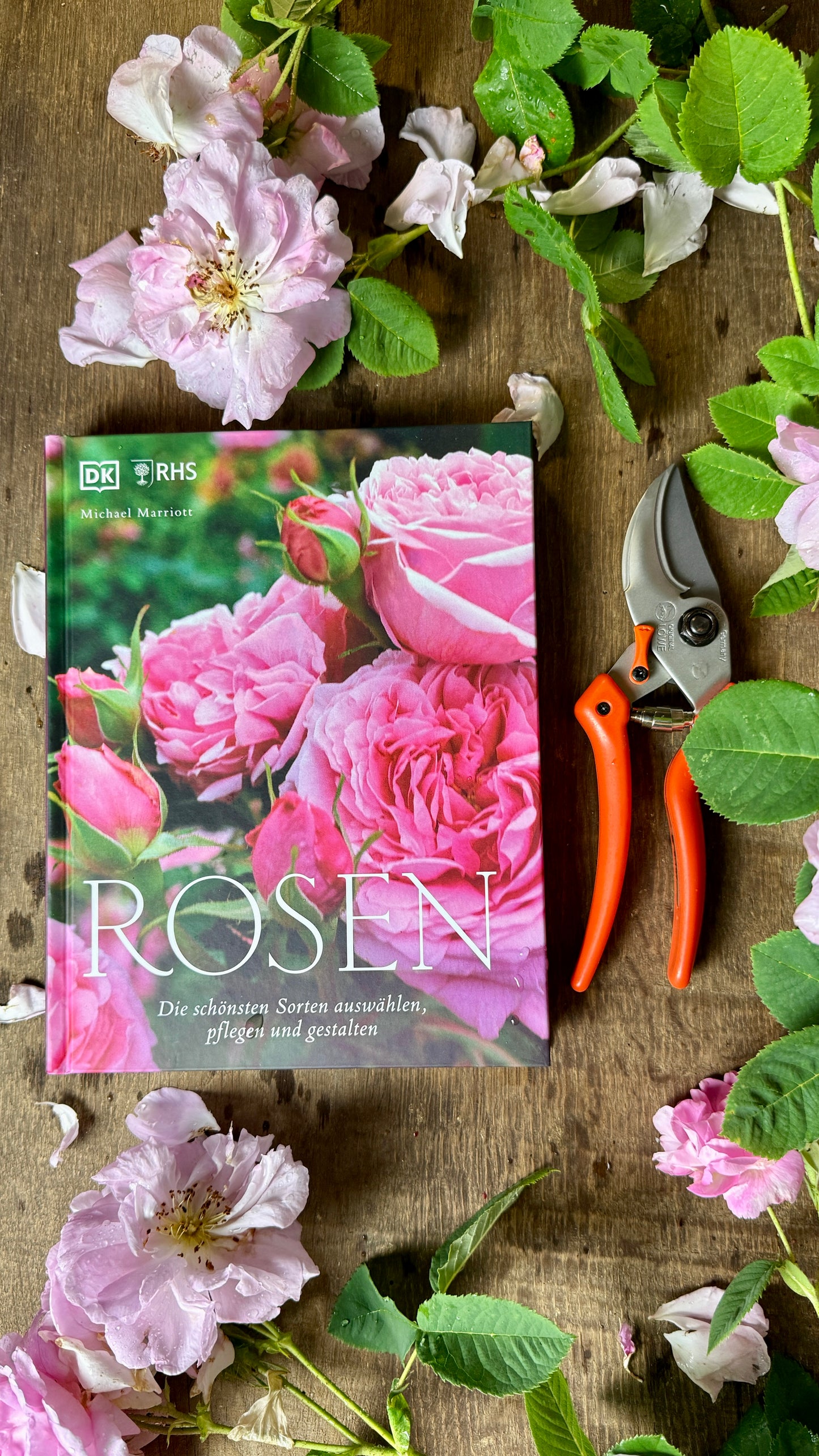 Geschenkset Buch Rosen & OriginalLöwe 9.107