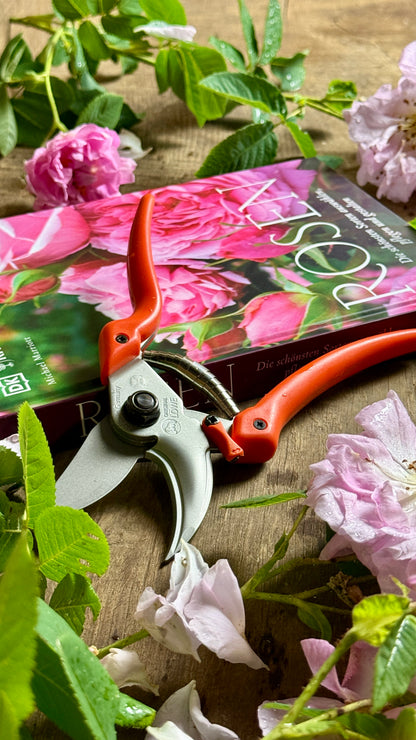 Geschenkset Buch Rosen & OriginalLöwe 9.107