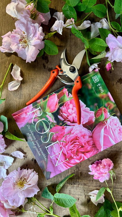 Geschenkset Buch Rosen & OriginalLöwe 9.107