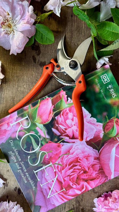 Geschenkset Buch Rosen & OriginalLöwe 9.107