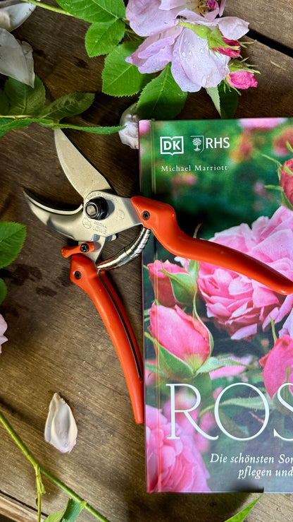 Geschenkset Buch Rosen & OriginalLöwe 9.107