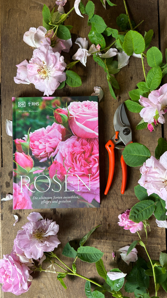 Geschenkset Buch Rosen & OriginalLöwe 9.107