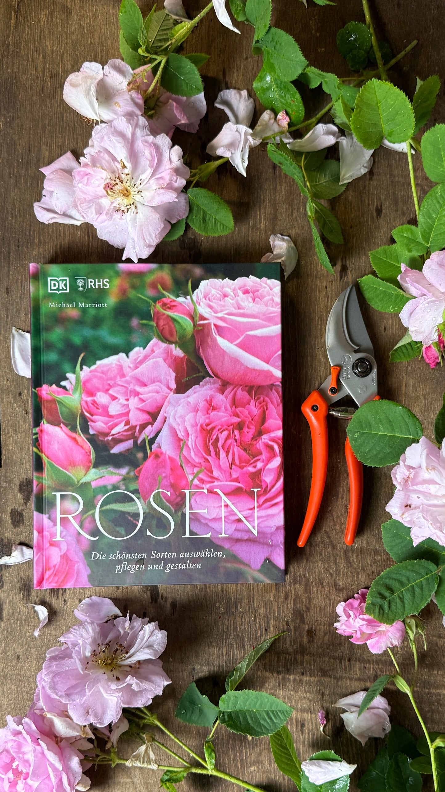 Geschenkset Buch Rosen & OriginalLöwe 9.107
