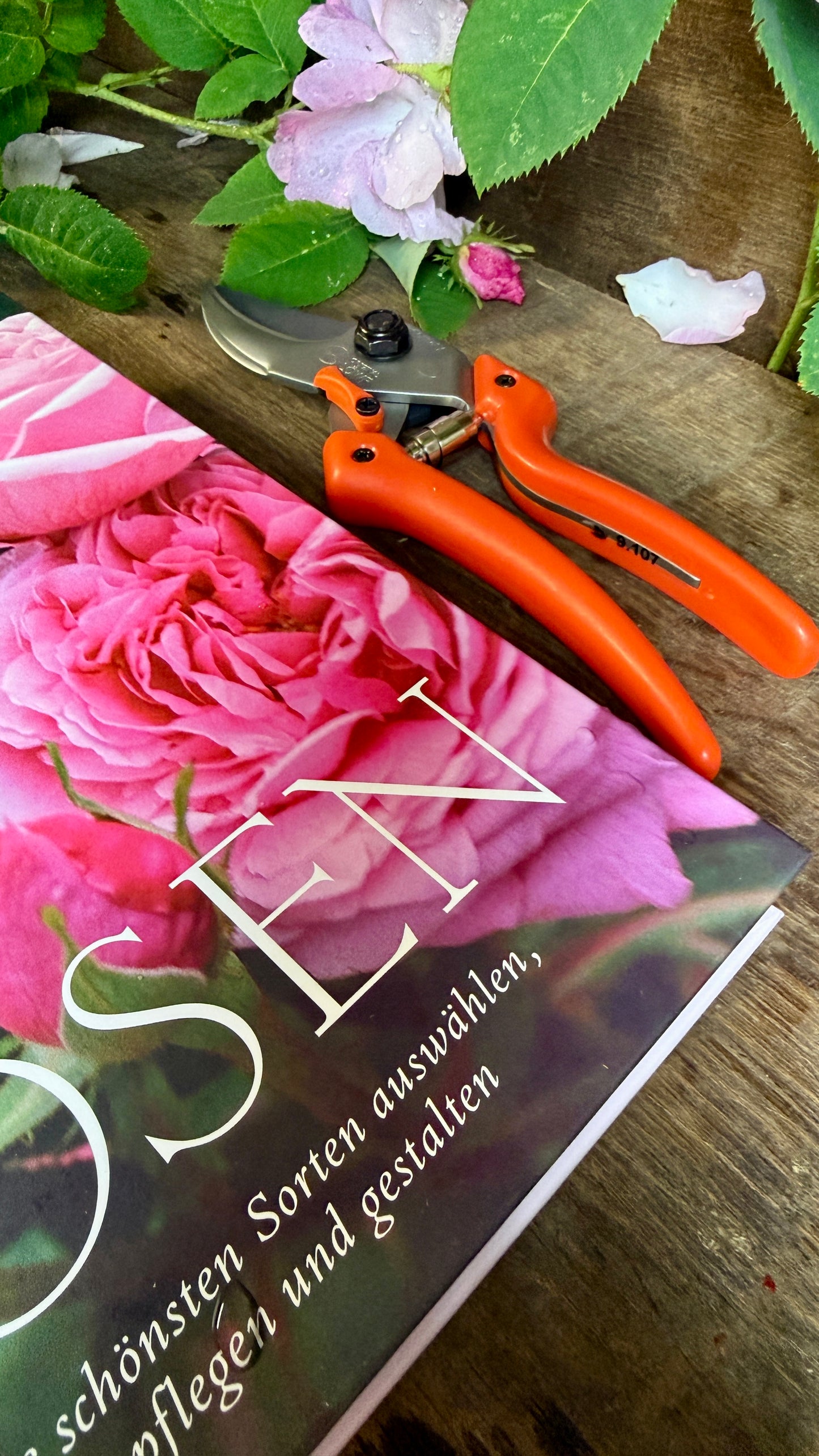 Geschenkset Buch Rosen & OriginalLöwe 9.107