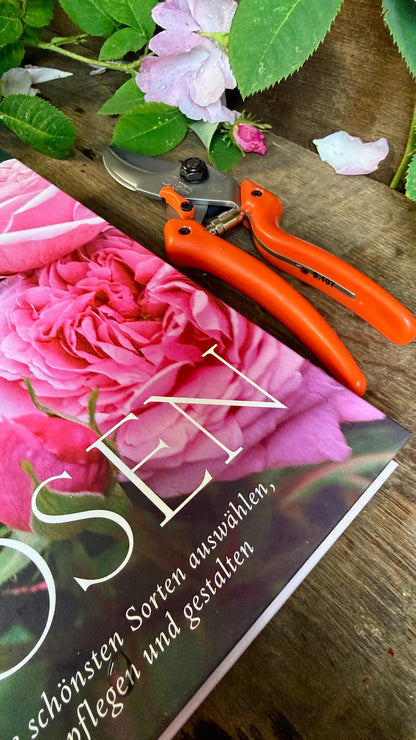 Geschenkset Buch Rosen & OriginalLöwe 9.107