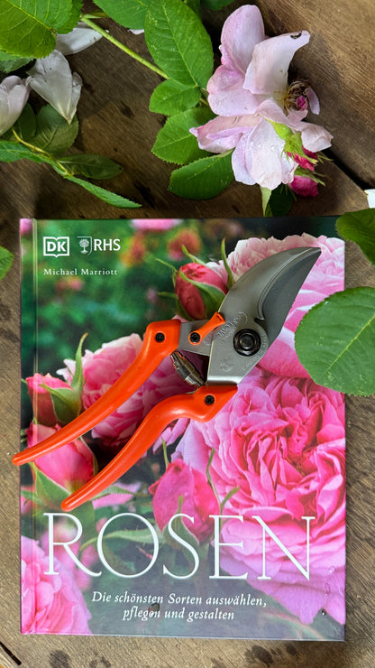 Geschenkset Buch Rosen & OriginalLöwe 9.107