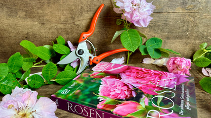 Geschenkset Buch Rosen & OriginalLöwe 9.107