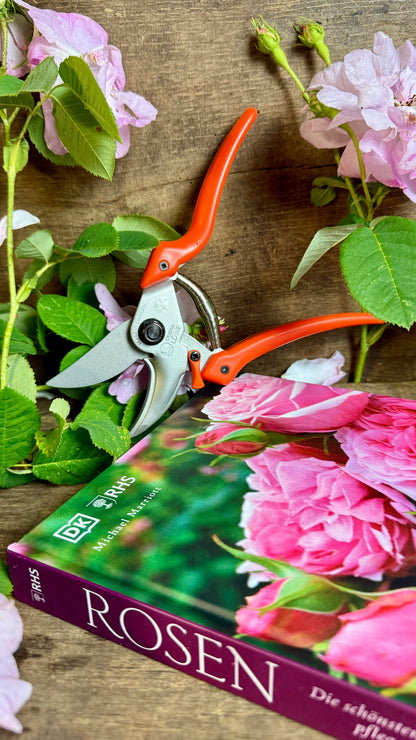 Geschenkset Buch Rosen & OriginalLöwe 9.107