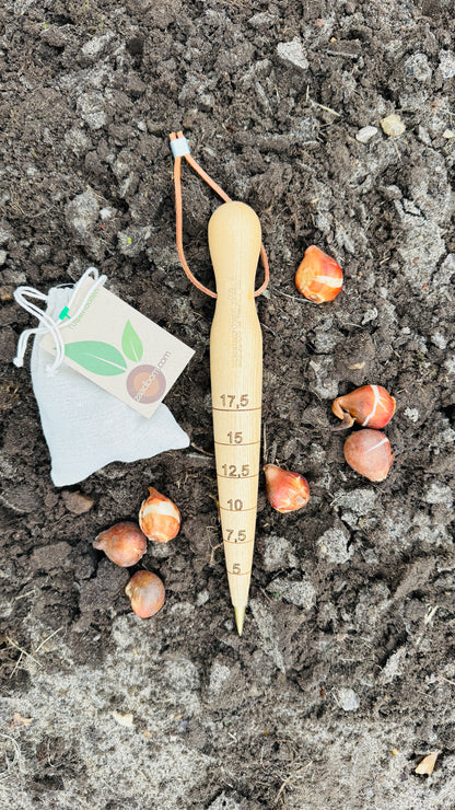 Pflanzpflog Holz & 7 Tulpenzwiebeln