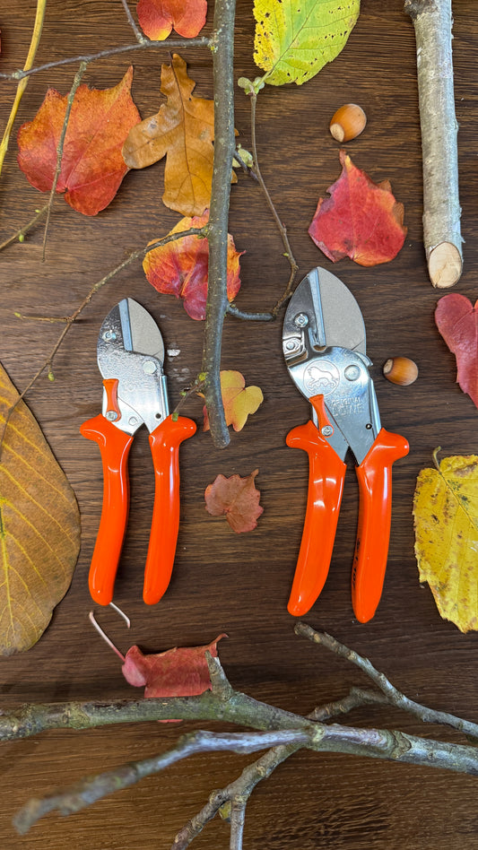 Geschenk-Set Original LÖWE 1.107 und 5.107 für gemeinsame Zeit im Garten