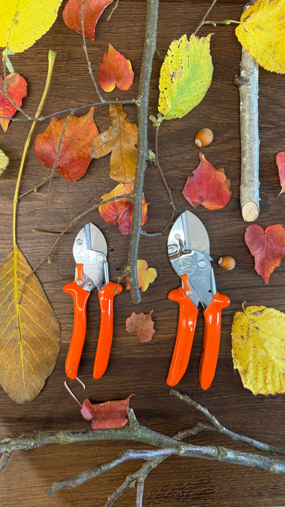 Geschenk-Set Original LÖWE 1.107 und 5.107 für gemeinsame Zeit im Garten