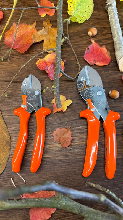 Geschenk-Set Original LÖWE 1.107 und 5.107 für gemeinsame Zeit im Garten