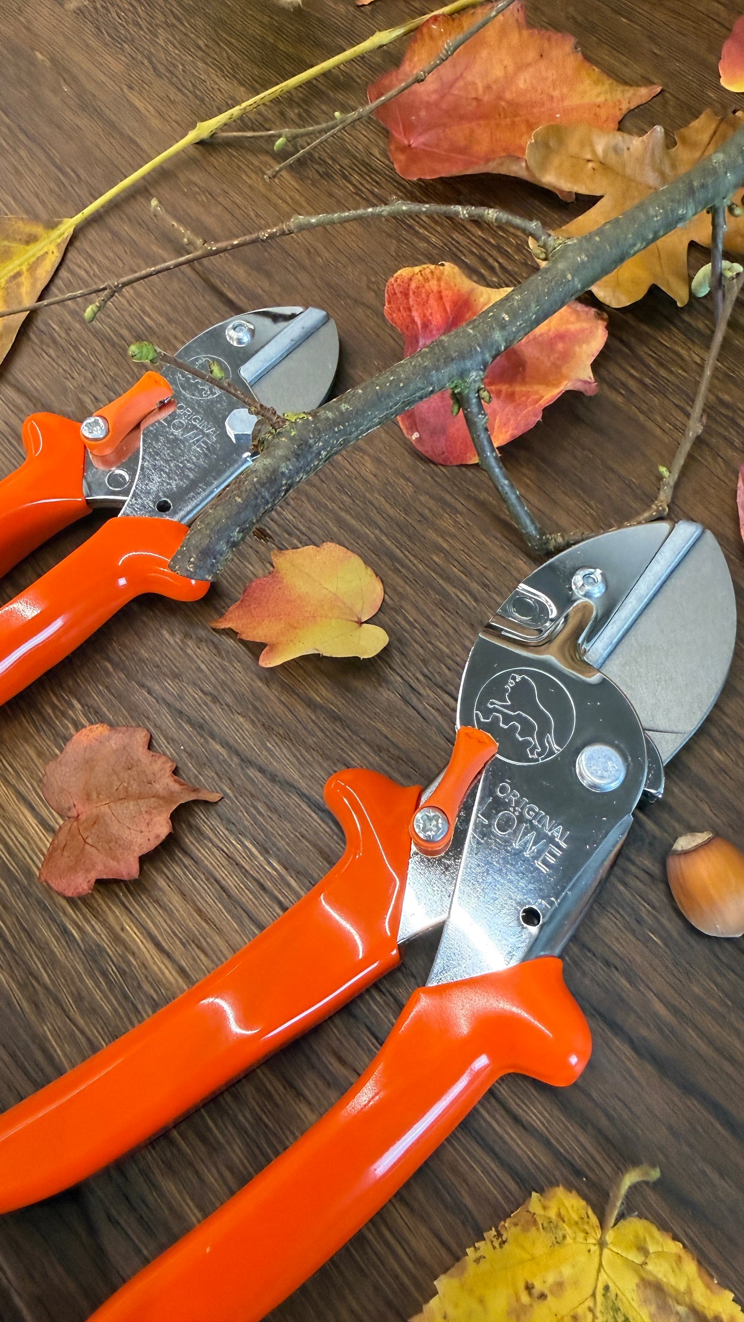 Geschenk-Set Original LÖWE 1.107 und 5.107 für gemeinsame Zeit im Garten