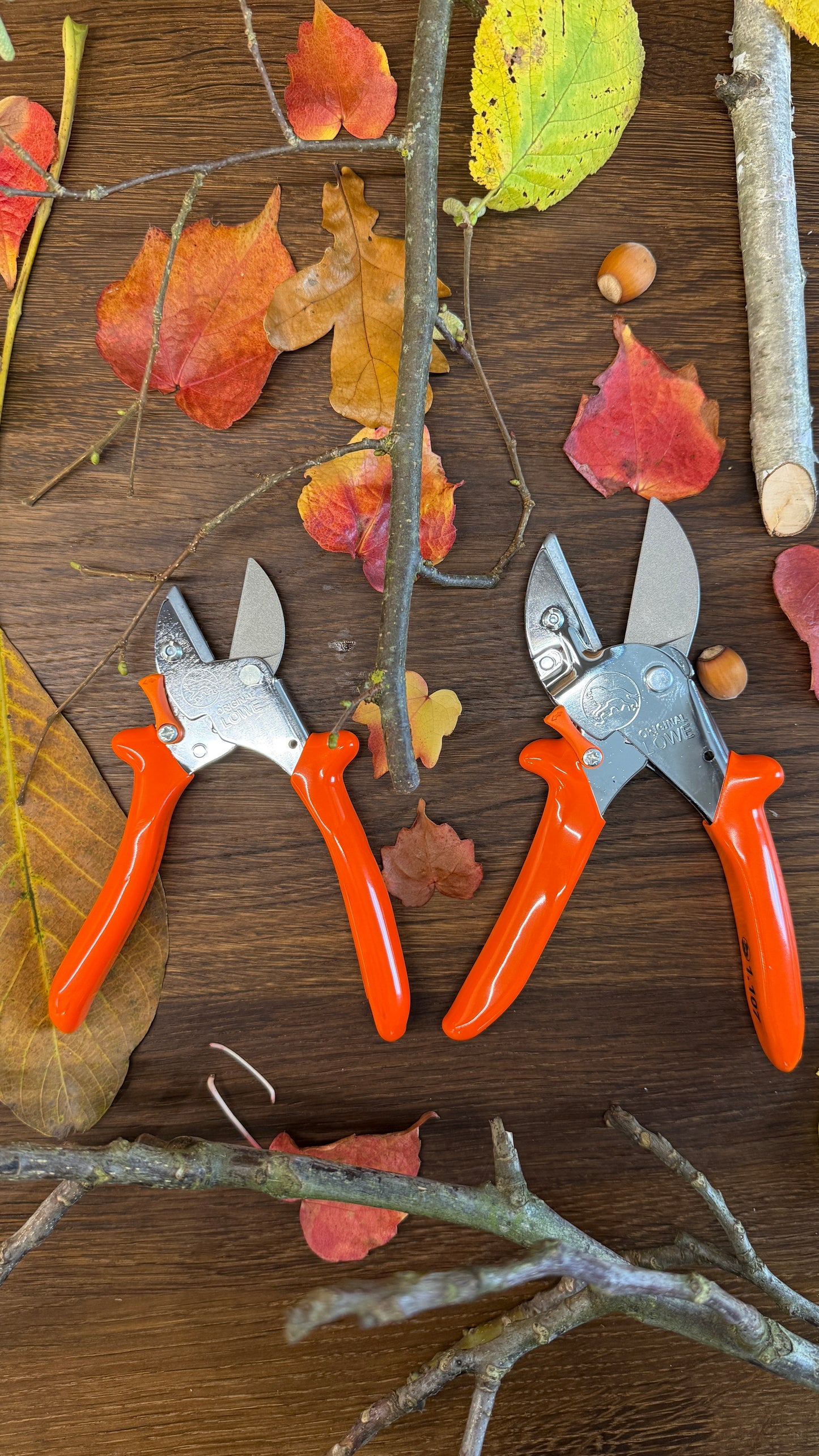 Geschenk-Set Original LÖWE 1.107 und 5.107 für gemeinsame Zeit im Garten