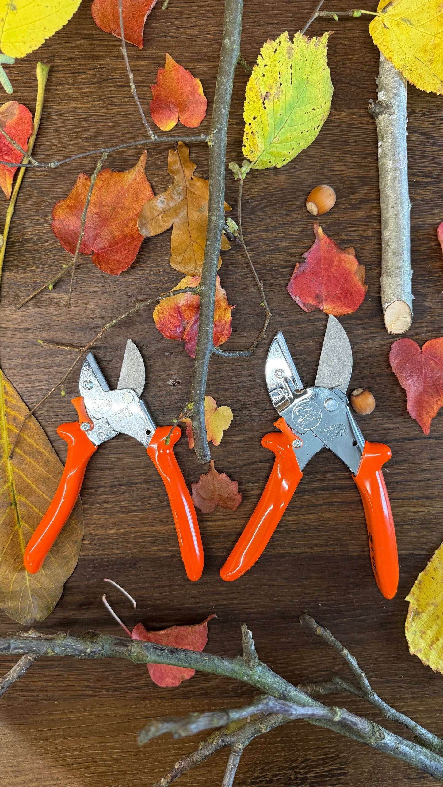 Geschenk-Set Original LÖWE 1.107 und 5.107 für gemeinsame Zeit im Garten