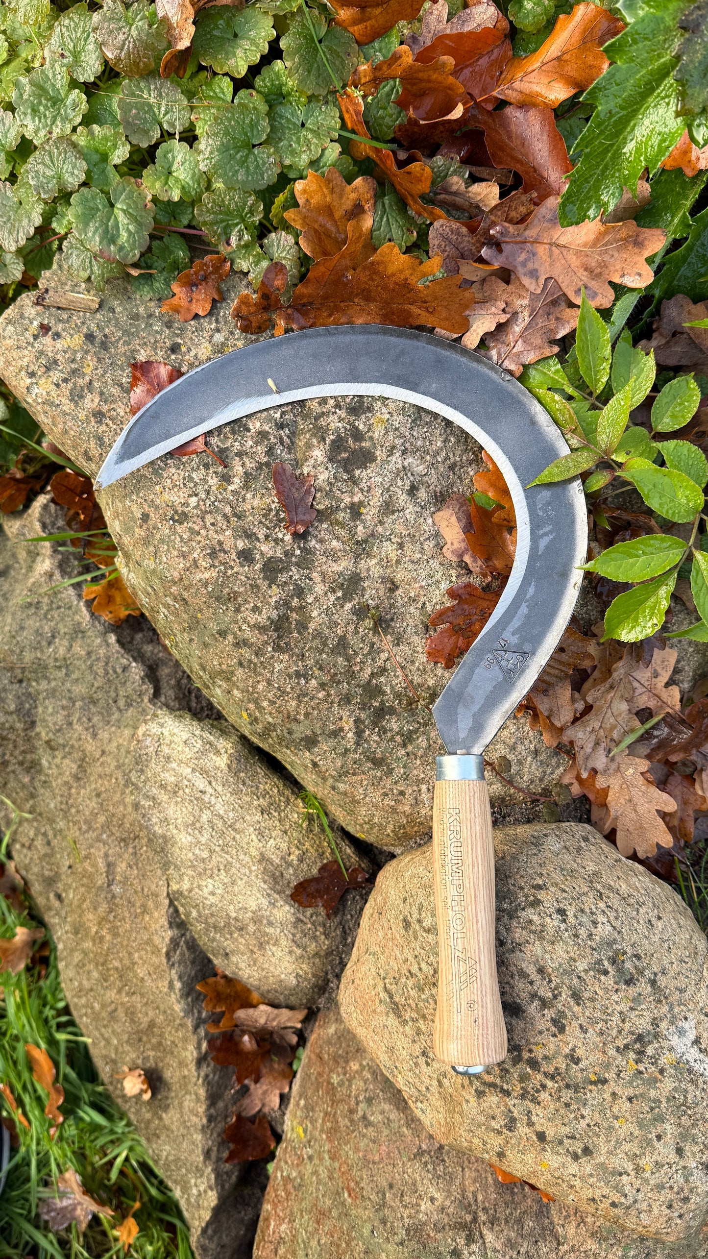Krumpholz Gartensichel, klein – geschmiedet mit Eschengriff