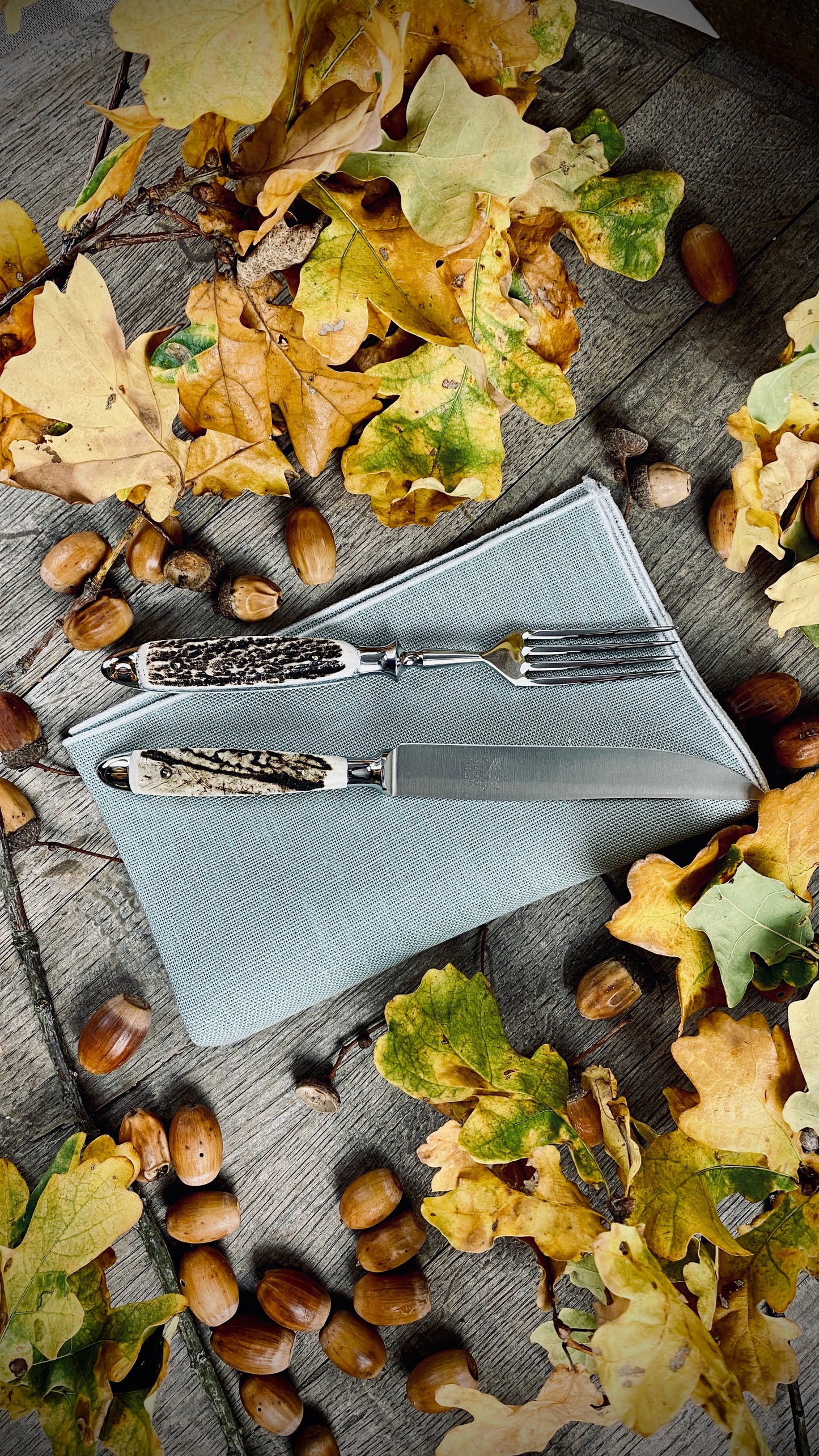 Geschenk-Set Leinenserviette mit Eichenlaub Steakbesteck mit echtem Hirschhorn
