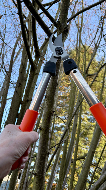 Original Löwe 31 – Astschere – Precision Clean Cut – Nr. 31.040 – 40 cm | Ø 30 mm