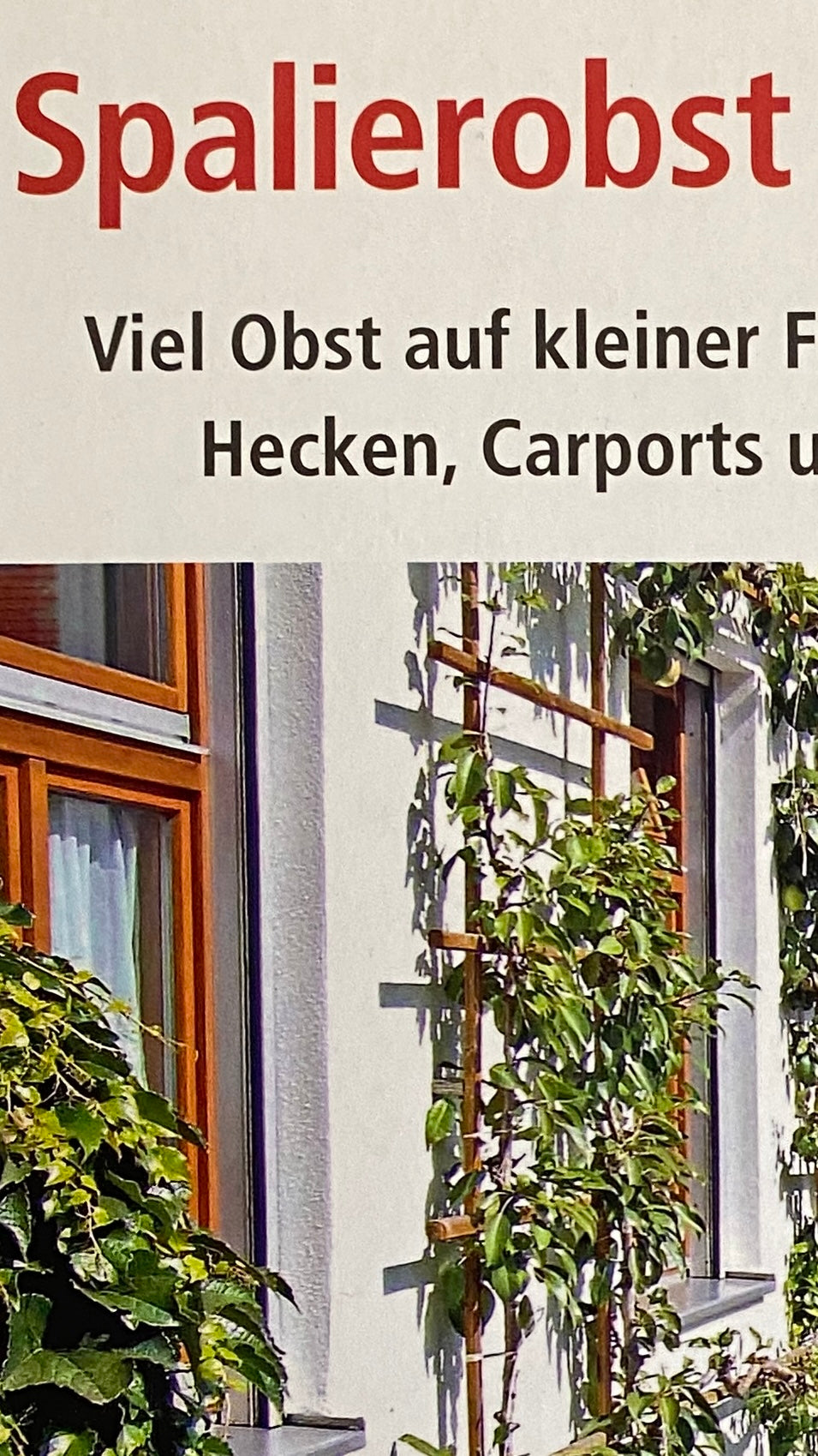 Buch Spalierobst im Hausgarten