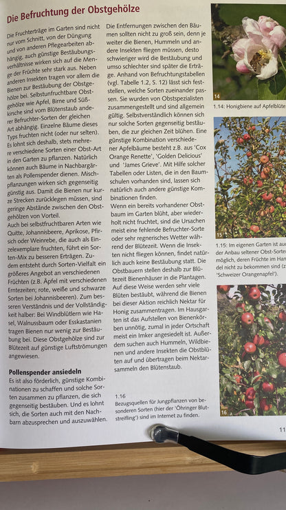 Buch Spalierobst im Hausgarten