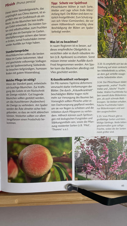 Buch Spalierobst im Hausgarten