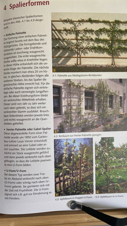 Buch Spalierobst im Hausgarten
