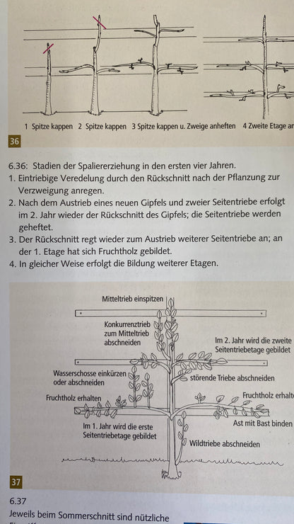 Buch Spalierobst im Hausgarten