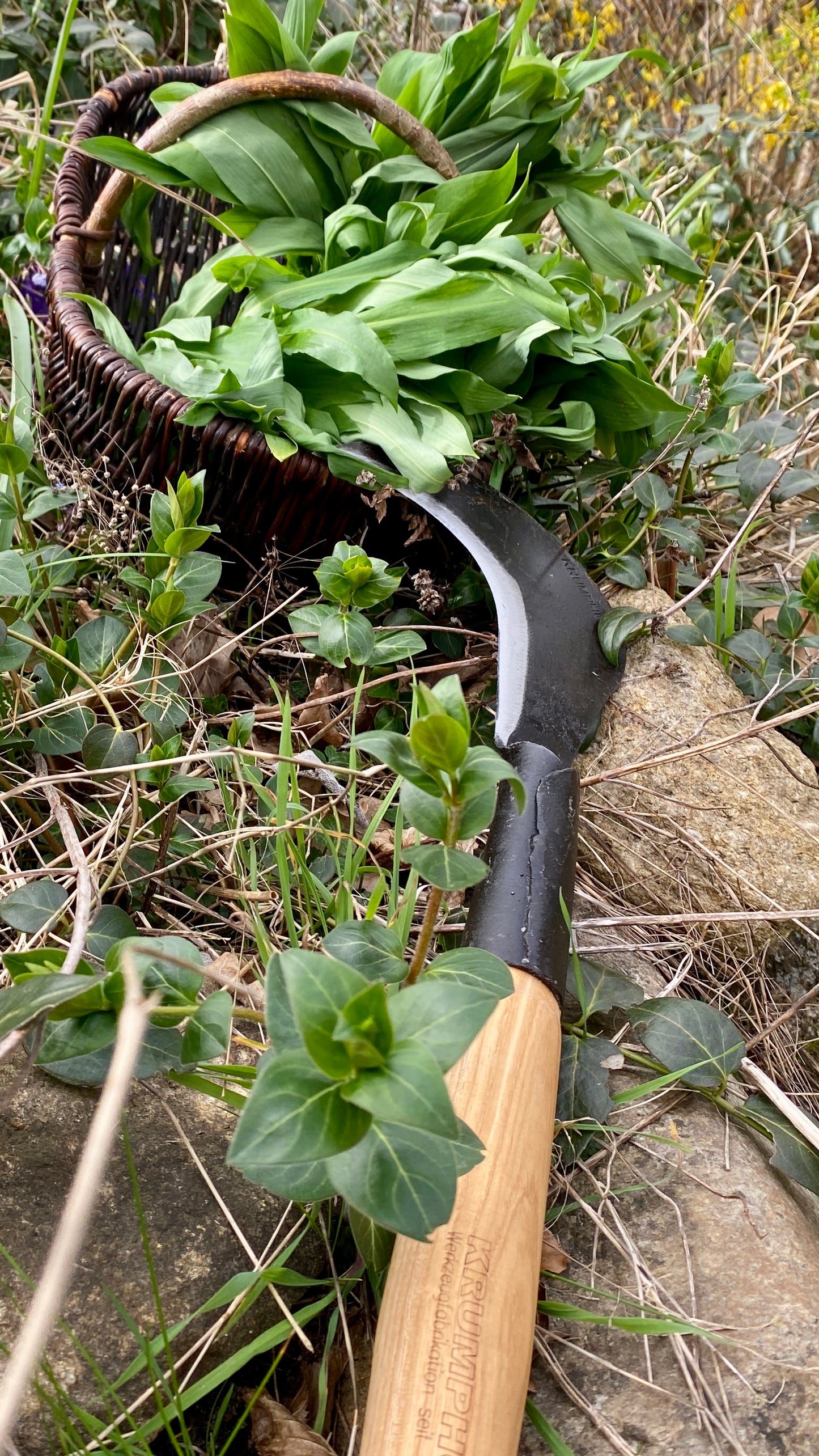 Krumpholz - Gartensichel / Sichel mit Eschen-Knopf-Stiel ca. 60 cm Gesamtlänge