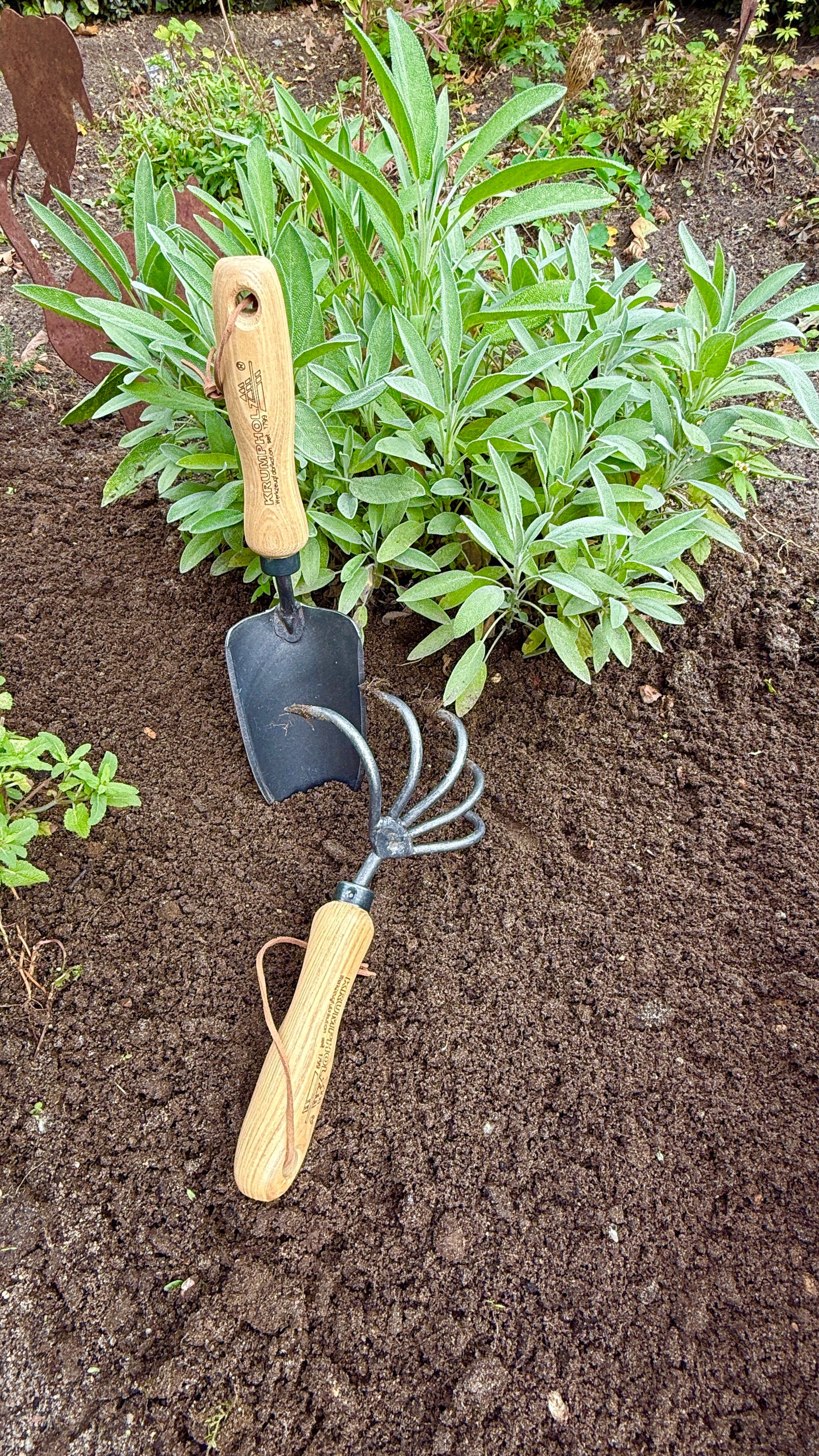 Geschenkset für Gartenliebhaber – Krumpholz Grubber & Pflanzenkelle