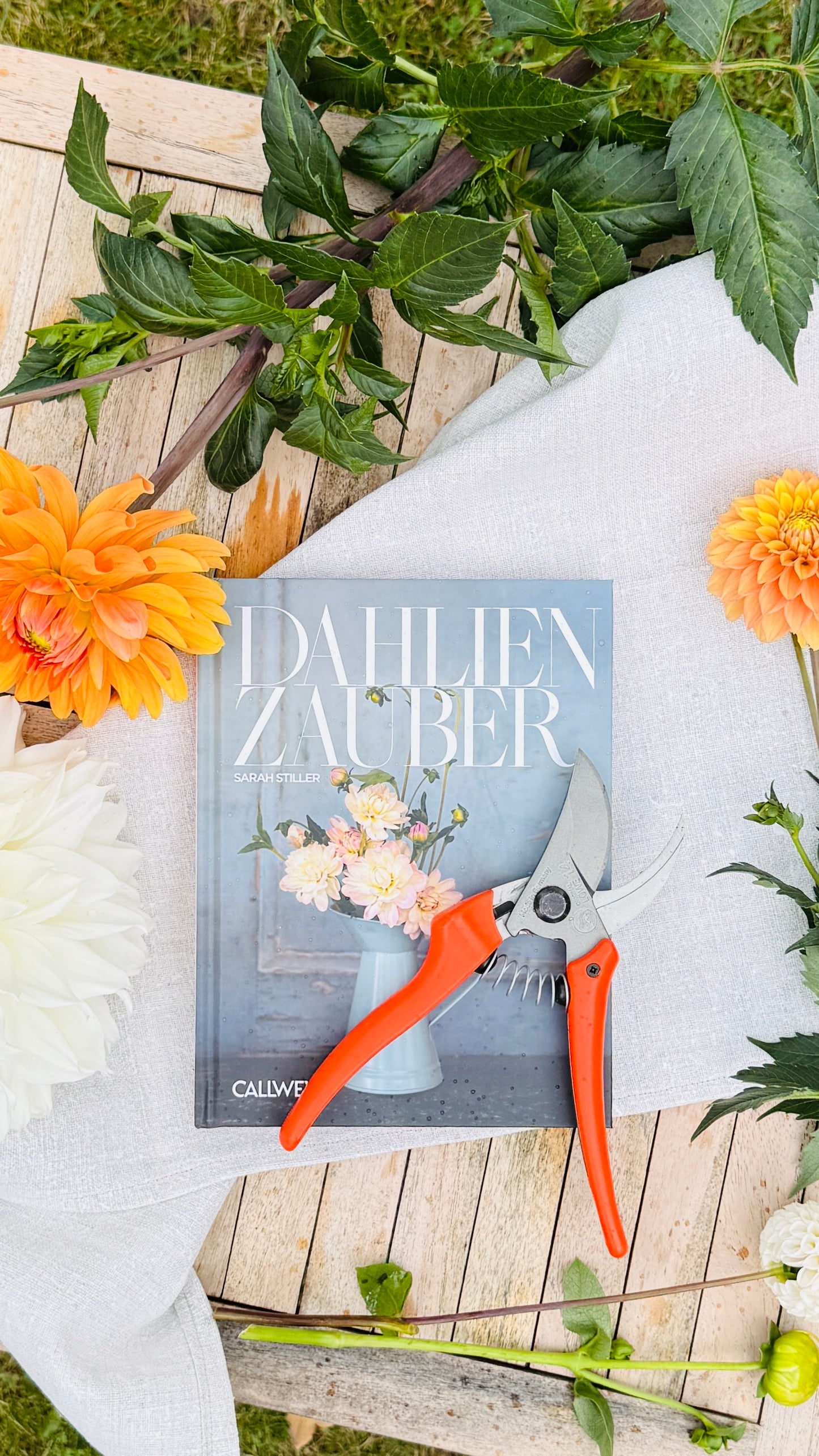 Geschenkset „Dahlienzauber“ – Dahlienbuch & Original LÖWE 14.107 Bypass-Schere