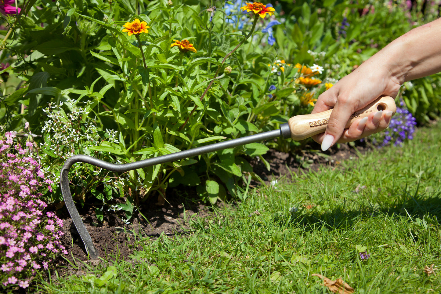 Krumpholz – Sauzahn mit 14 cm Eschengriff ca. 38 cm Gesamtlänge – Nr. 1307