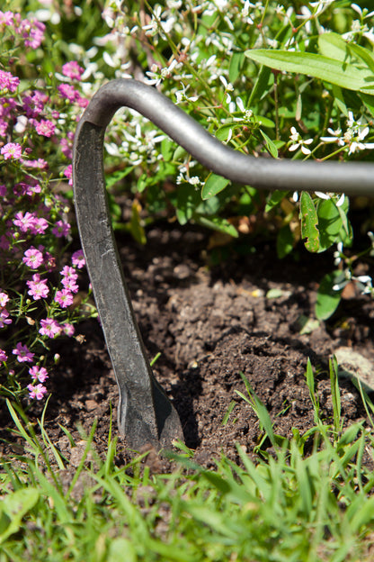 Krumpholz – Sauzahn mit 14 cm Eschengriff ca. 38 cm Gesamtlänge – Nr. 1307