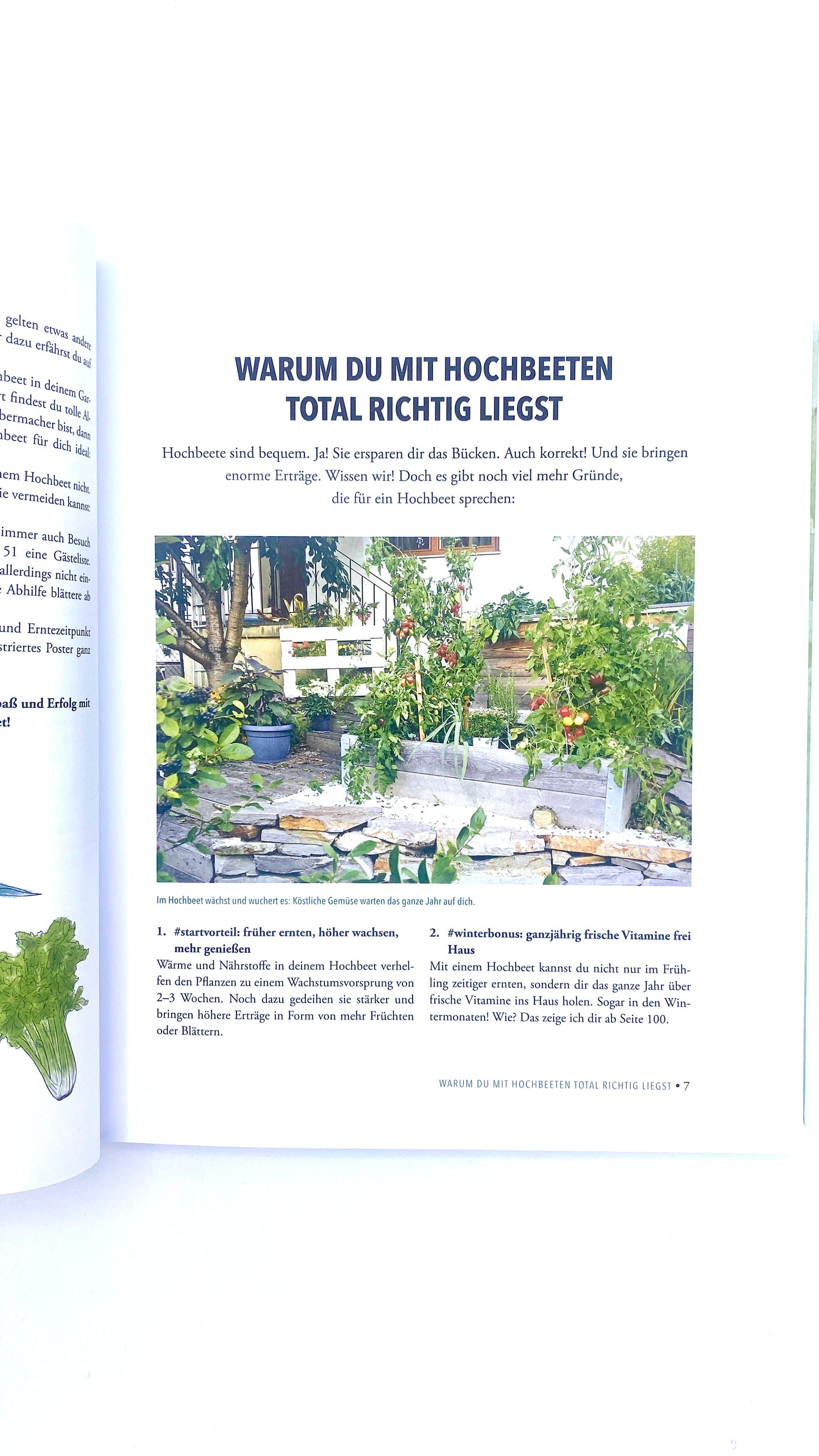 Geschenk-Set Krumpholz Jäter, Pflanzholz & Buch
