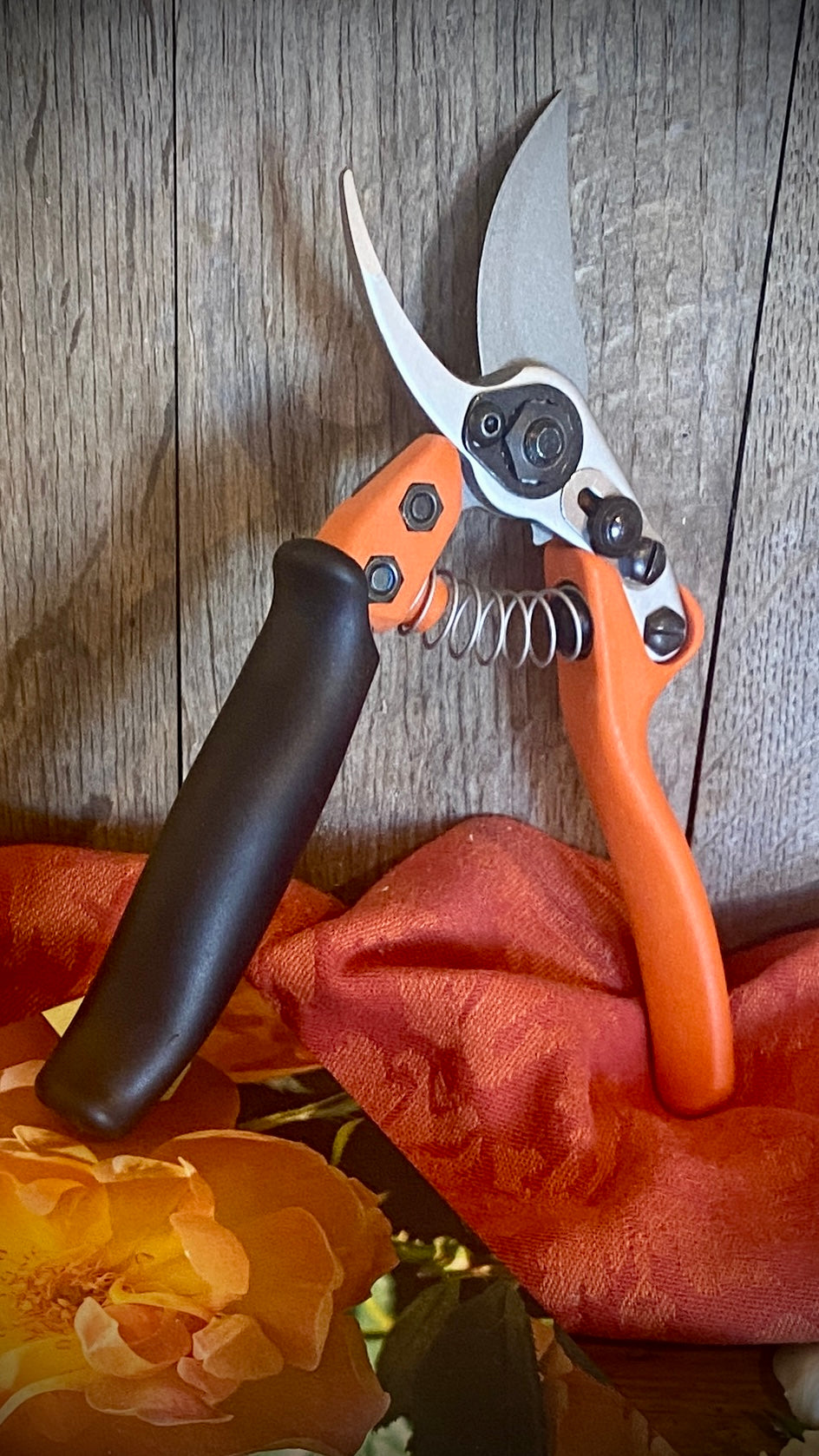 Geschenkset Das große Rosen Buch mit Original Löwe Bypass-Schere mit Rollgriff