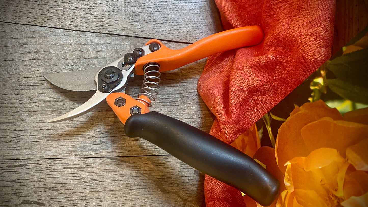 Geschenkset Das große Rosen Buch mit Original Löwe Bypass-Schere mit Rollgriff