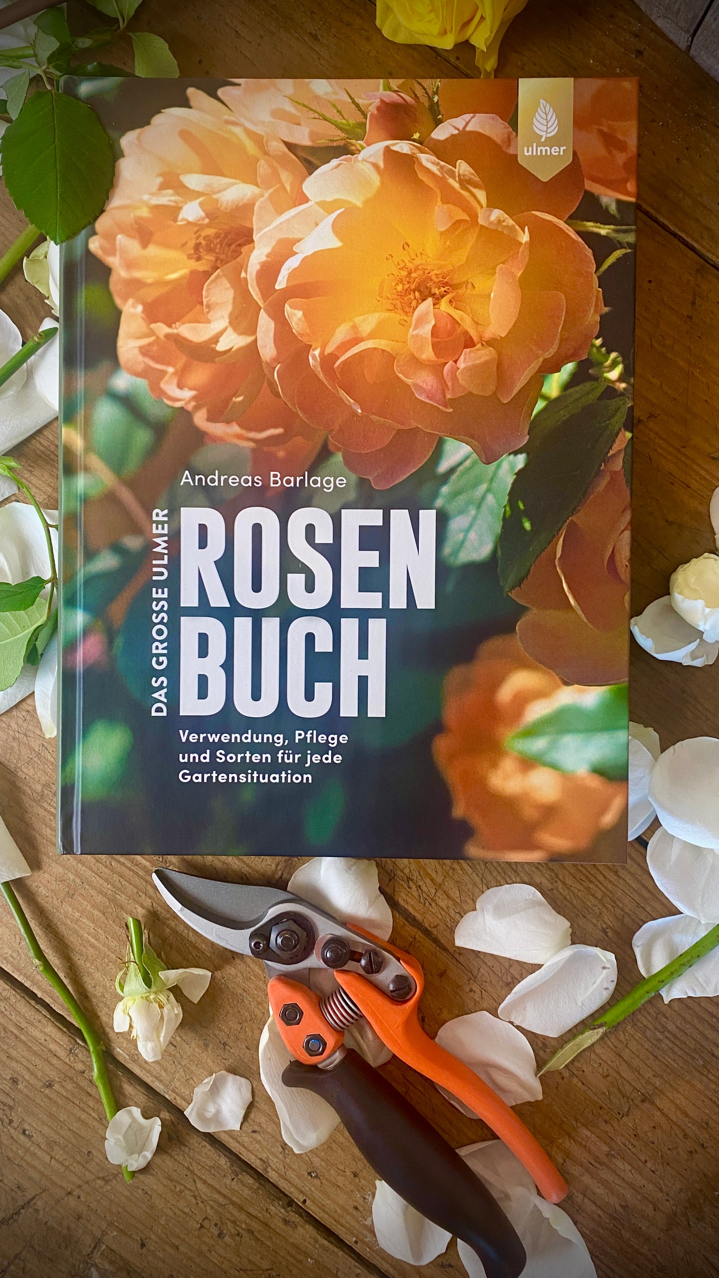 Geschenkset Das große Rosen Buch mit Original Löwe Bypass-Schere mit Rollgriff