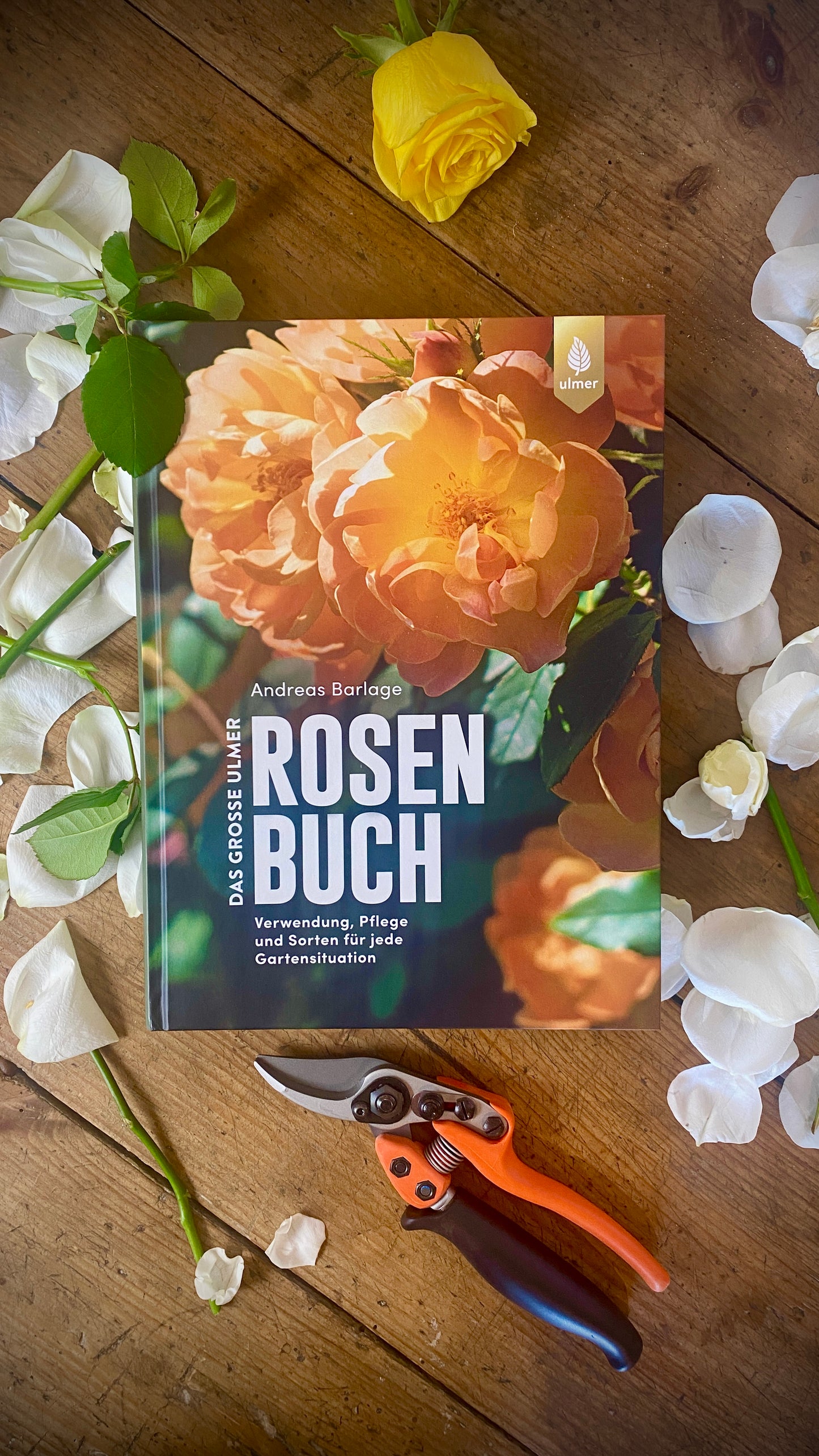 Geschenkset Das große Rosen Buch mit Original Löwe Bypass-Schere mit Rollgriff