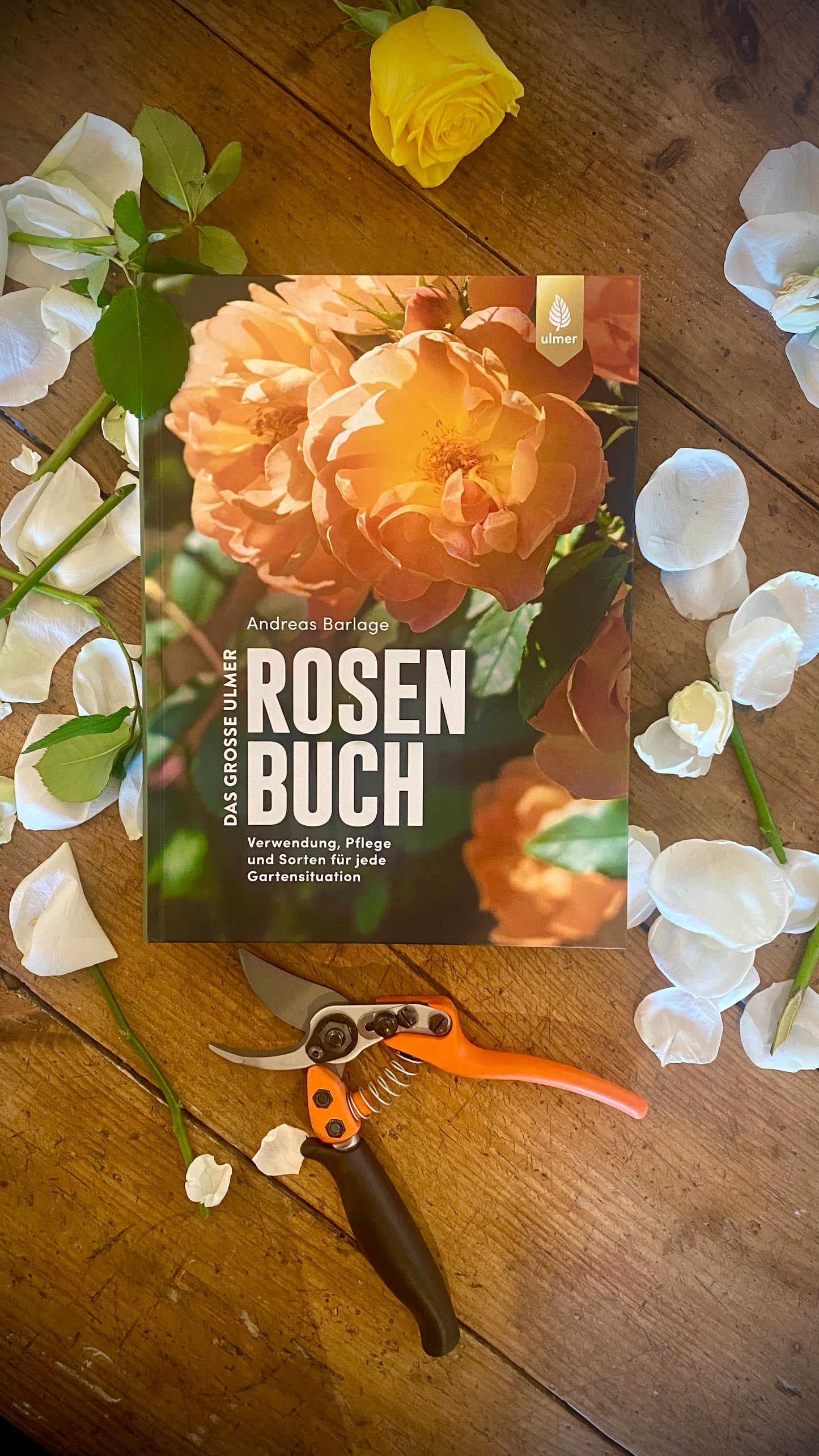 Geschenkset Das große Rosen Buch mit Original Löwe Bypass-Schere mit Rollgriff