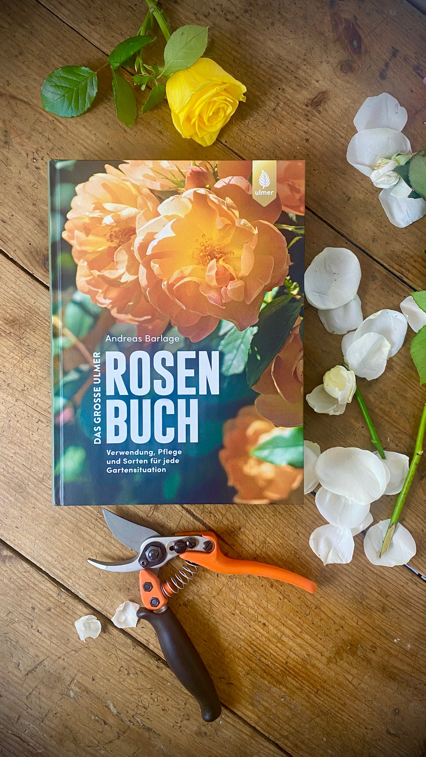 Geschenkset Das große Rosen Buch mit Original Löwe Bypass-Schere mit Rollgriff